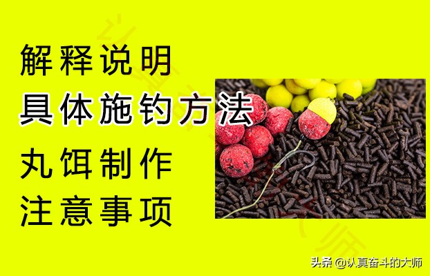 大鱼怎么钓不起来,欧鲤钓怎么提高鱼获