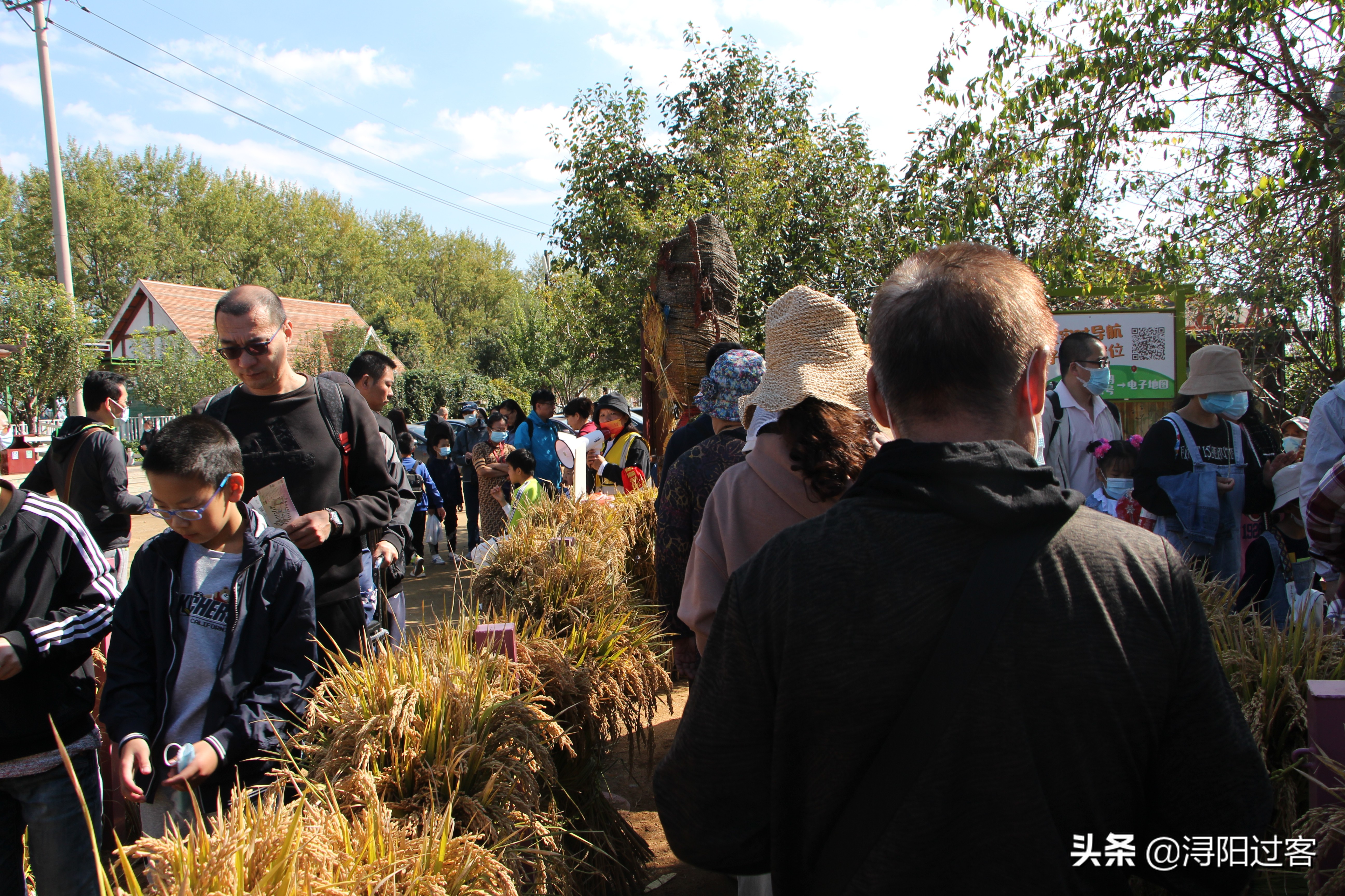 沈阳稻梦空间小火车,沈阳稻梦空间怎么样