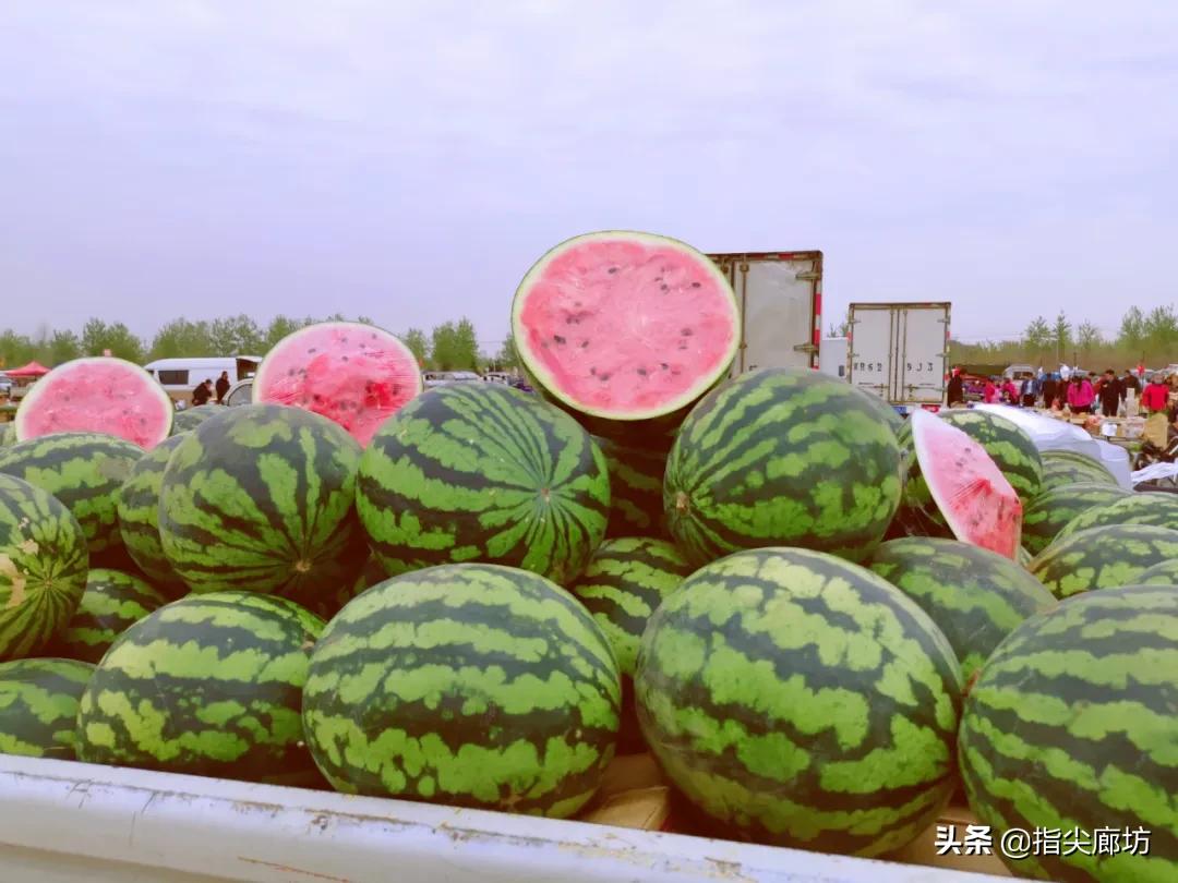 廊坊杨税务集市,在早市遇见久违的人间烟火气