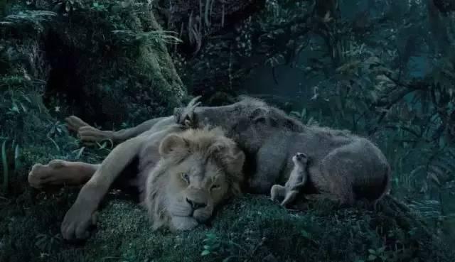 新旧版狮子王不同点,狮子王真狮版免费中文完整版