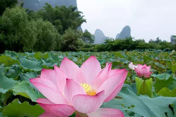 云阳下一个商圈,重庆云阳发展风貌