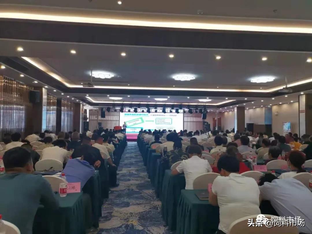 山东活力集团,长清区活力集团