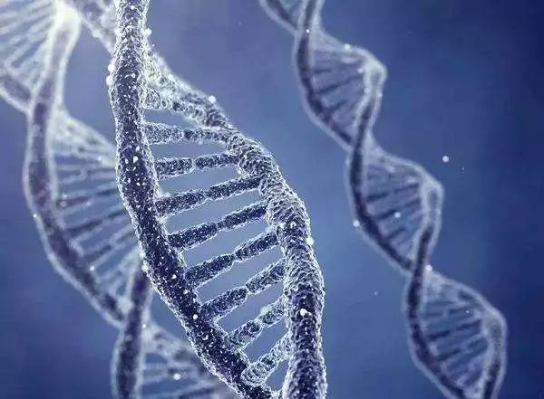 网红都在用的抗老神器真的有用吗,深扒张庭护肤品