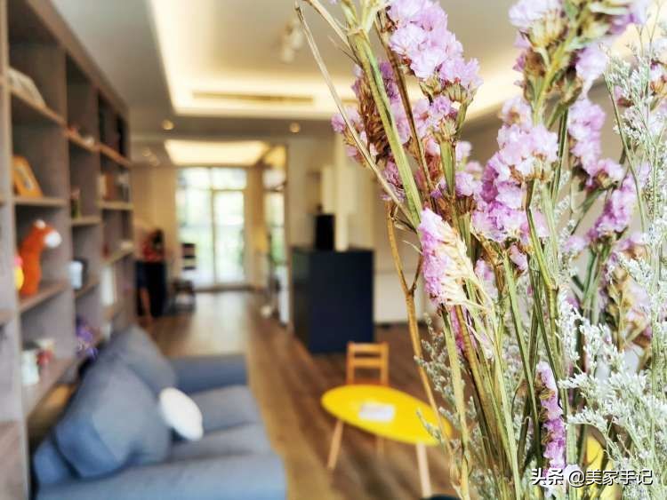 沙发不靠墙摆放书柜效果图,客厅沙发不靠墙的书柜