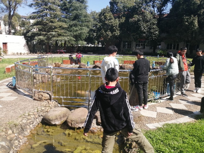 位于花溪公园附近的私立寄宿制学校花溪区英豪学校（迎宾路口）