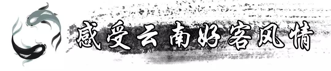 云南蒸汽石锅鱼你吃过吗,云南养生蒸汽石锅鱼