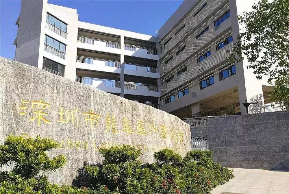 深圳教育集团化的优劣势,深圳教育水平对比全国的优势