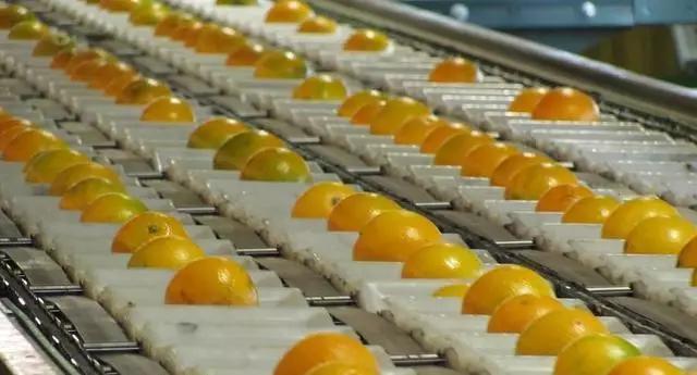 菜吧农场在哪里,日本最出名的10个农场