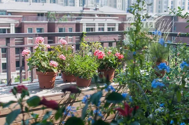 最有质感的家欢迎借鉴,打造浪漫有格调的家