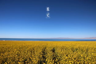 朵而：旧的光与啄破的夜