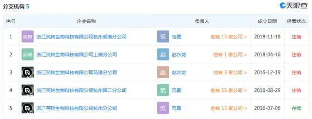 英树是传销吗,英树是不是传销