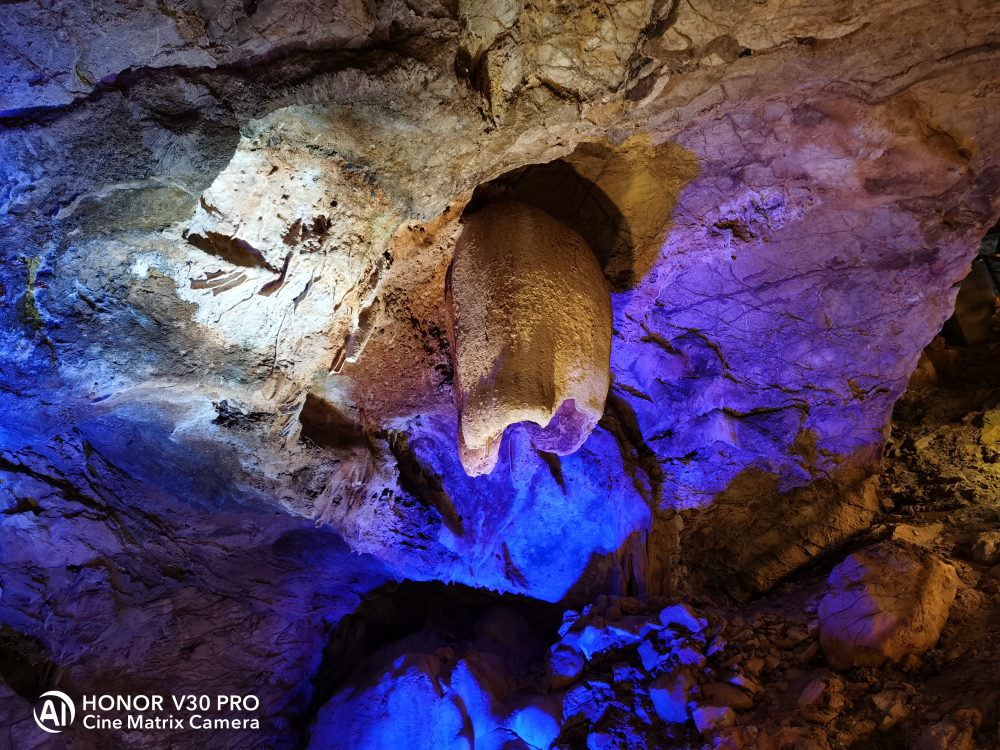 5g旗舰性价比高,nova65g和荣耀v30pro哪个好