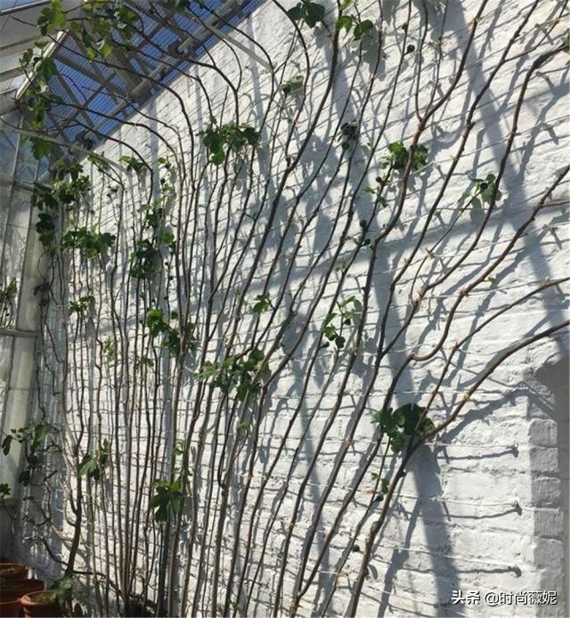 鍥壓鍒涙剰閫犲瀷鐩嗘櫙,鍥壓鐩嗘櫙鍒涙剰璁捐