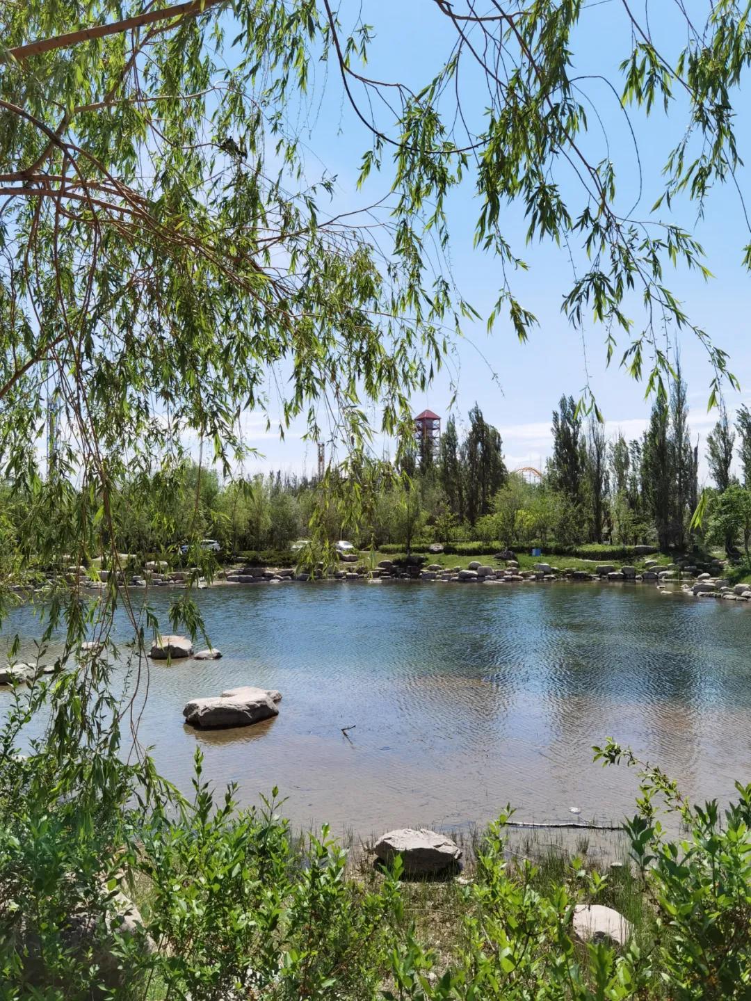 伊犁最美的50处绝色美景,伊犁最美的小众景点