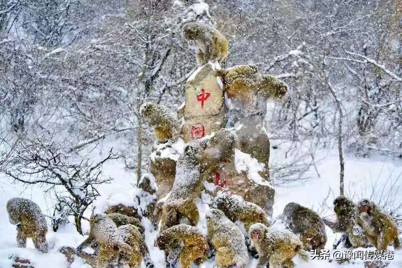 济源景色好的地方有哪些,济源全域旅游示范区