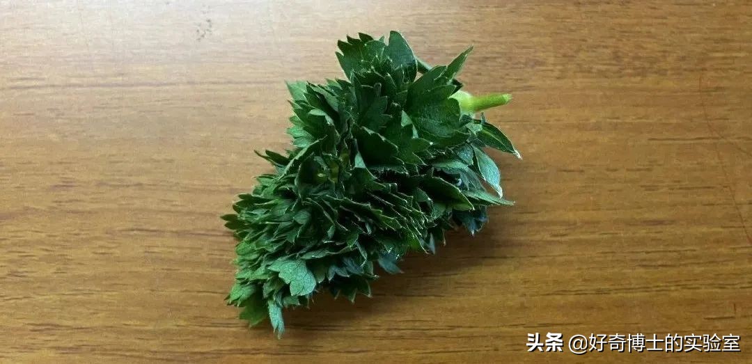 撸过猫撸过狗但你撸过“鱼”吗？