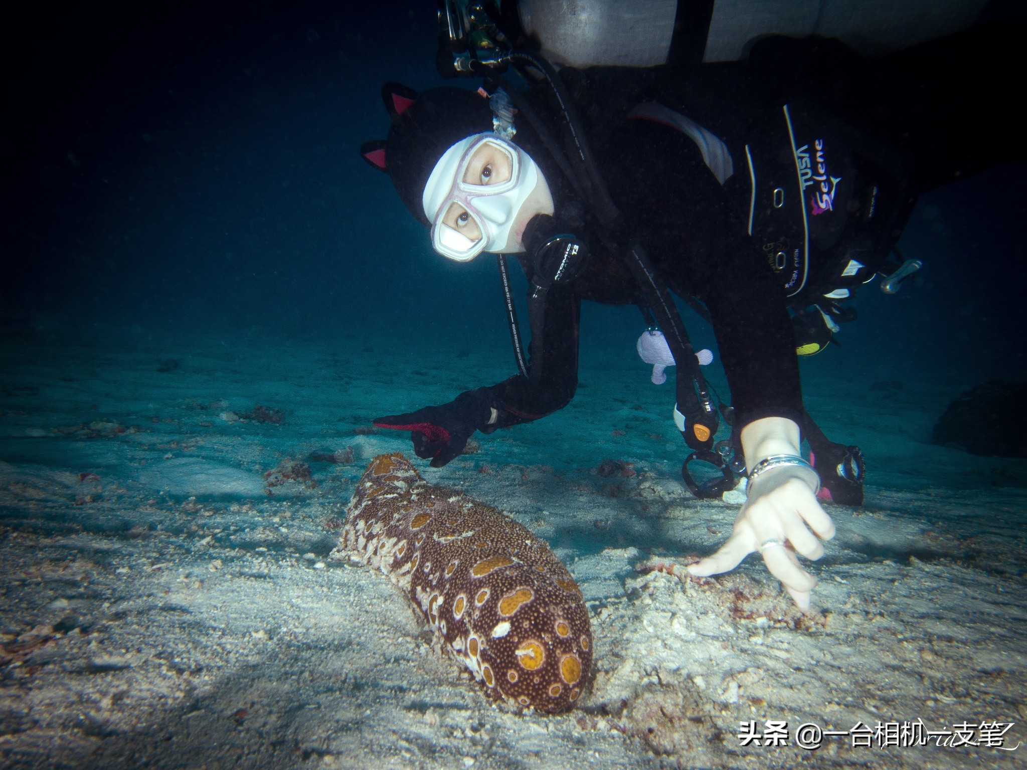 马来西亚隐世小岛,隐世海岛美景