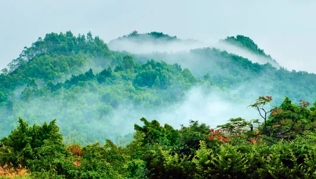 惠阳区名胜古迹,惠阳将军故居