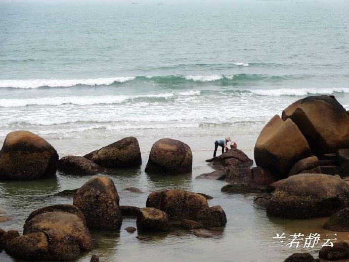 福建省漳州市六鳌镇抽象画廊,漳州六鳌抽象画廊从哪进去免费