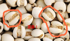 红豆薏米芡实粥喝多久除湿气见效,我喝红豆薏米茶为什么湿气去不了