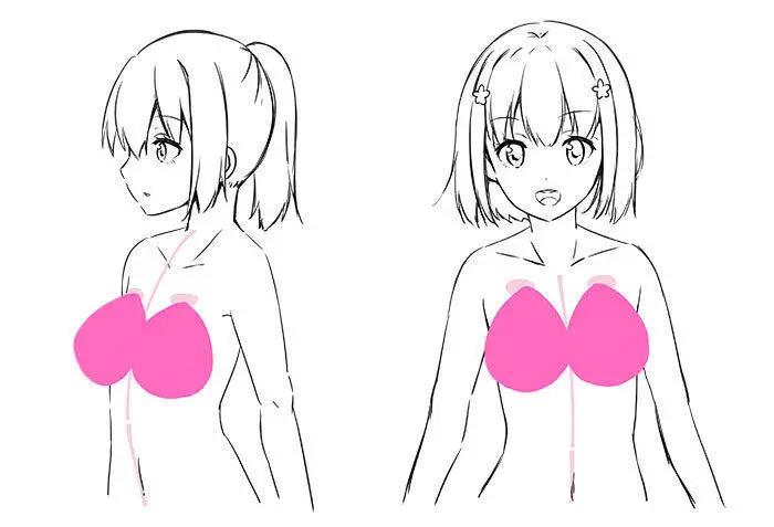 胸部怎么画零基础入门,板绘胸像教学