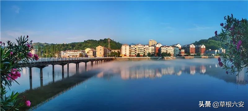 谢谢你来了全集,谢谢你医生