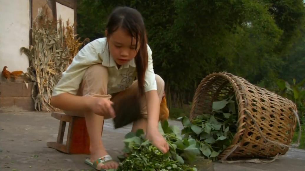 农民工给父亲拍摄的纪录片,2001年农民工返乡纪录片