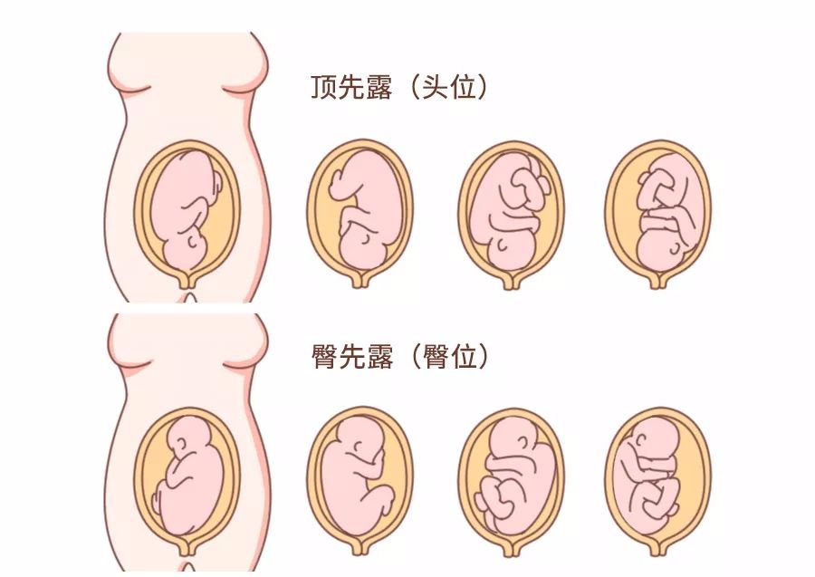 产检小册子是什么东西,产检报告单怎么贴在产检册上