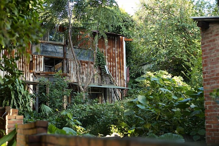 反璞归真2.0,反璞归真005