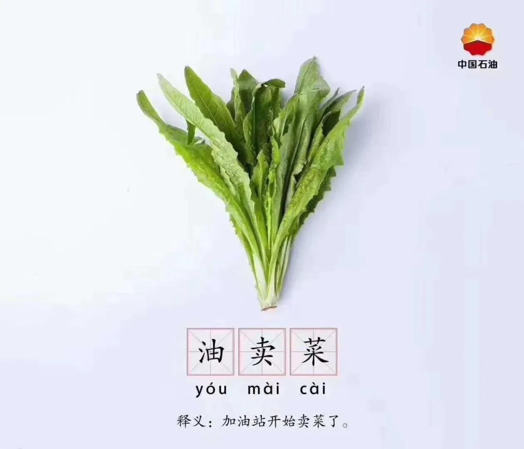 中石油的加油站也卖菜啦!