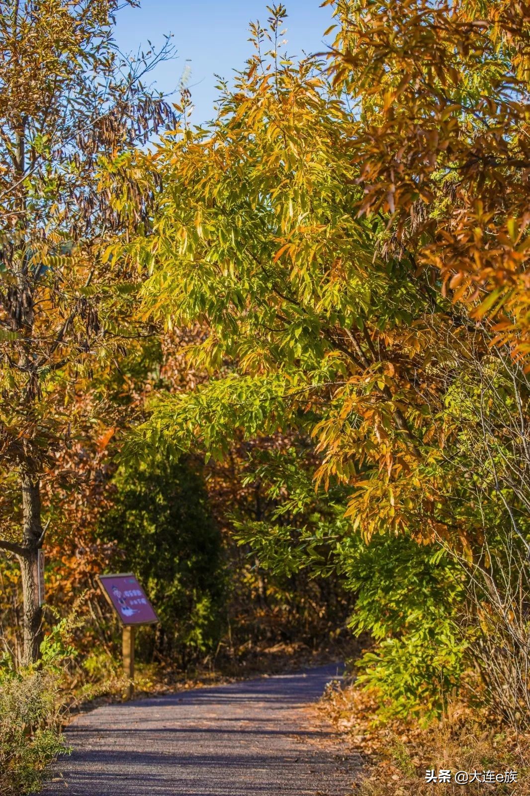 三寰牧场几月份闭园,大连旅顺三寰牧场闭园
