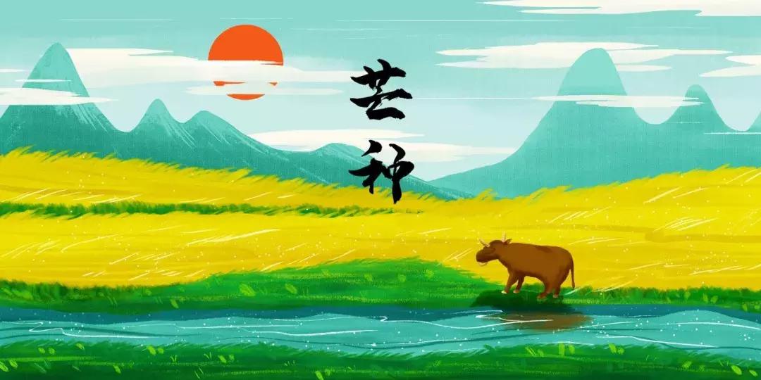 芒种黄龄清唱,芒种百里玄策