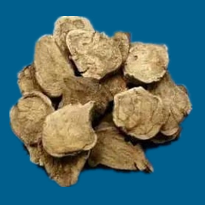 附子的种类图片大全,附子有多少种品种图片