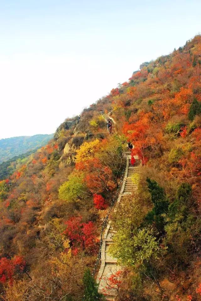 六月我们一起去旅行,九月带你去旅行