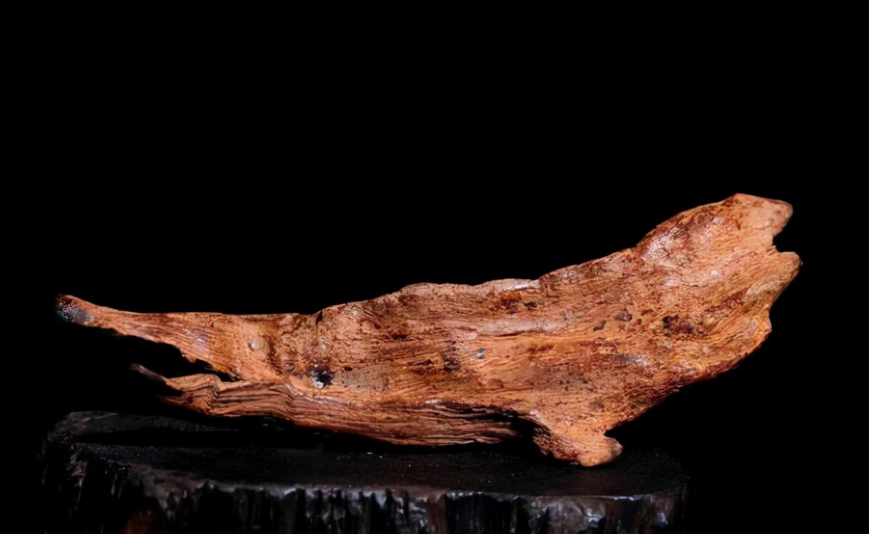 金香玉是什么香气,猫眼宝石金镶玉