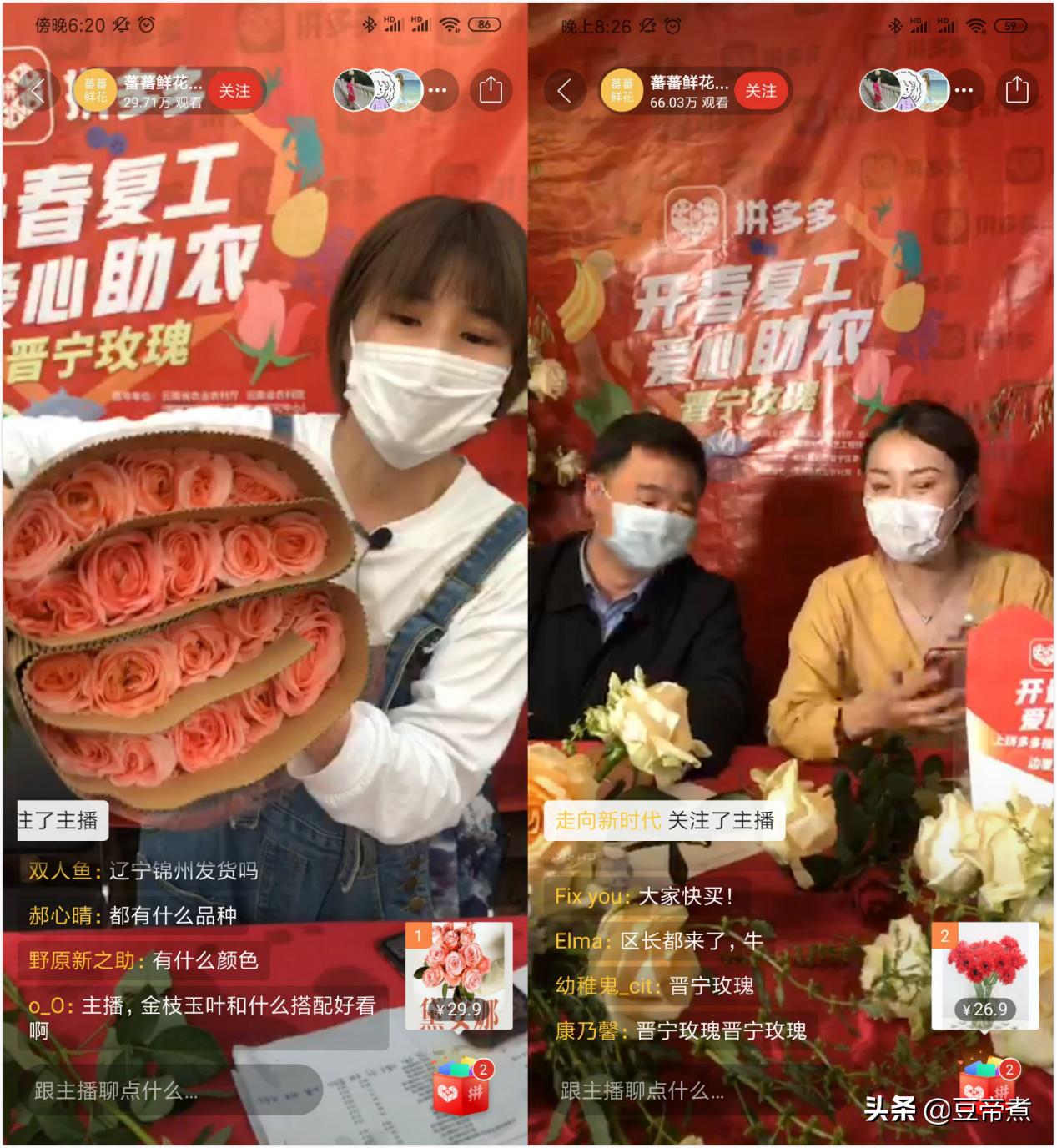 5毛一支花,花农宁愿销毁!云南县长区长为民直播,160万网友驰援