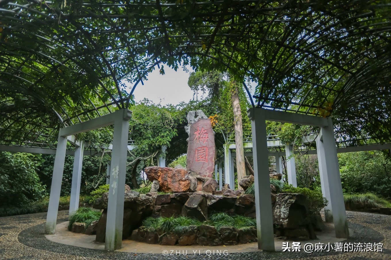 无锡梅园不只能赏梅，初秋近万亩百合花海盛放，小姐姐直呼太美了