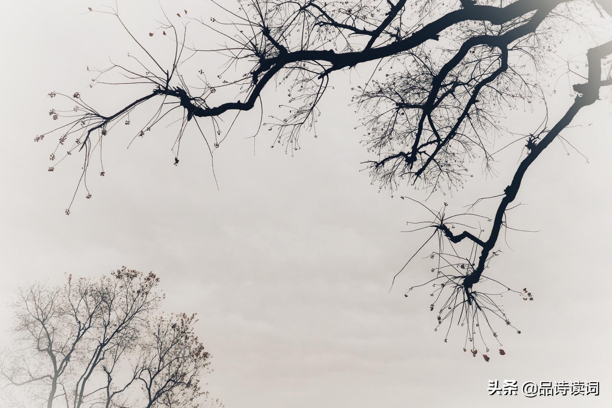 范仲淹最经典的一句诗,范仲淹最著名的十首诗摘抄