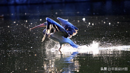 5个让人惊艳的摄影技巧,6个日常必学摄影技巧