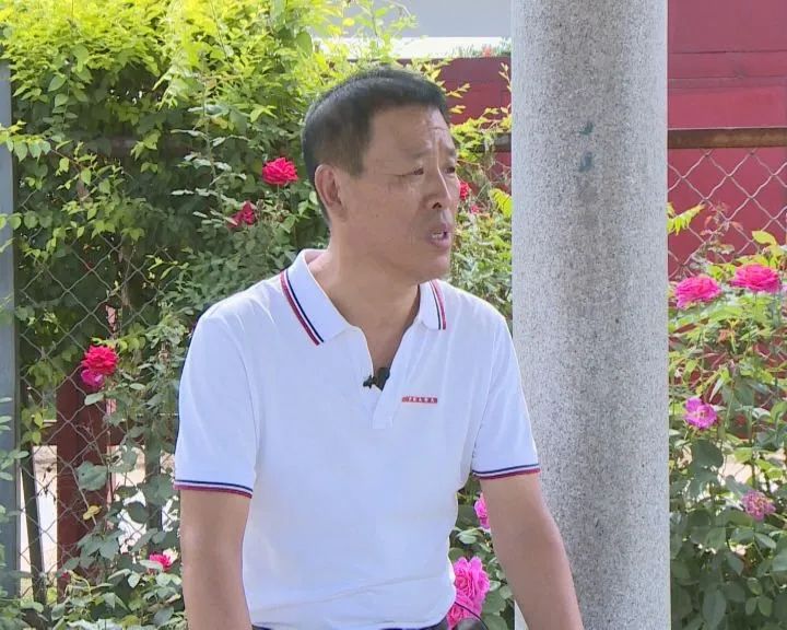 营口鲅鱼圈葡萄苗,营口鲅鱼圈葡萄种植