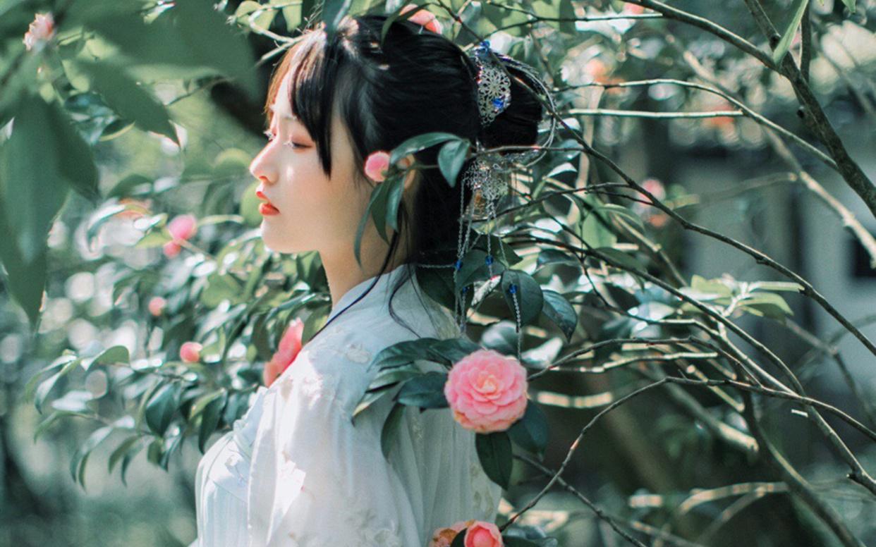 一首没有名字的小诗,一首没有名字的诗歌