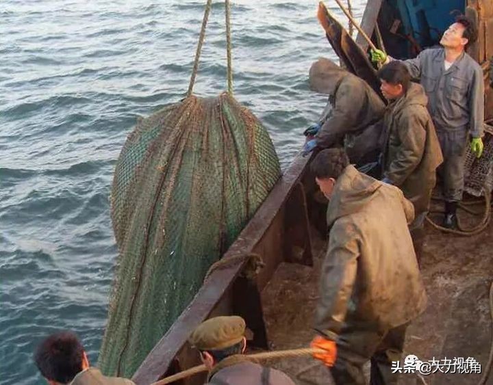 收藏海参干货,朝鲜有哪些有收藏价值的东西