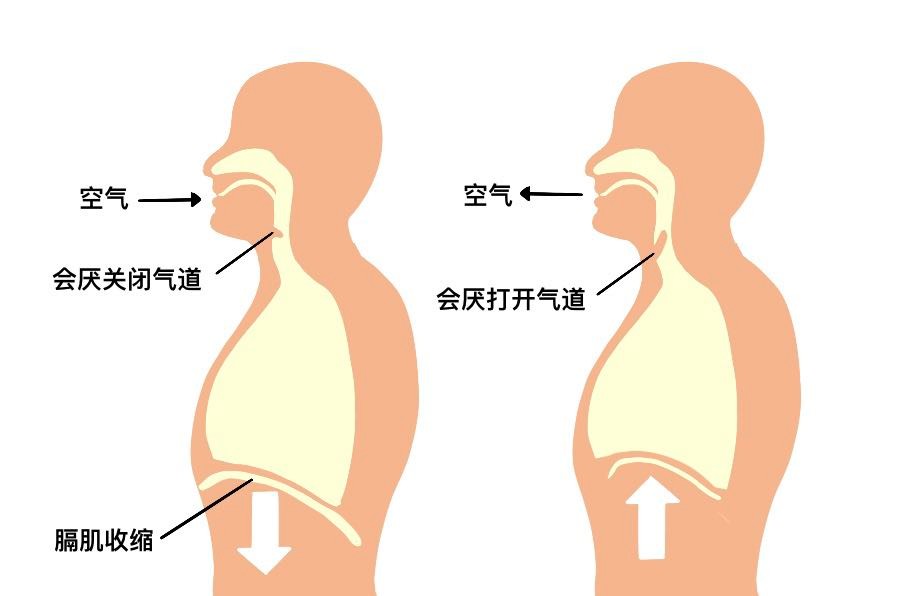 趴着睡觉不仅打嗝还流口水，我还能好好午休吗？