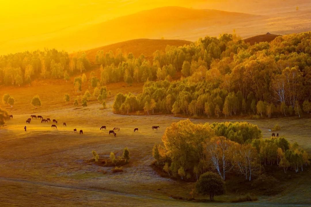 一周旅游推荐8月国内旅行,值得推荐的一月小众旅游