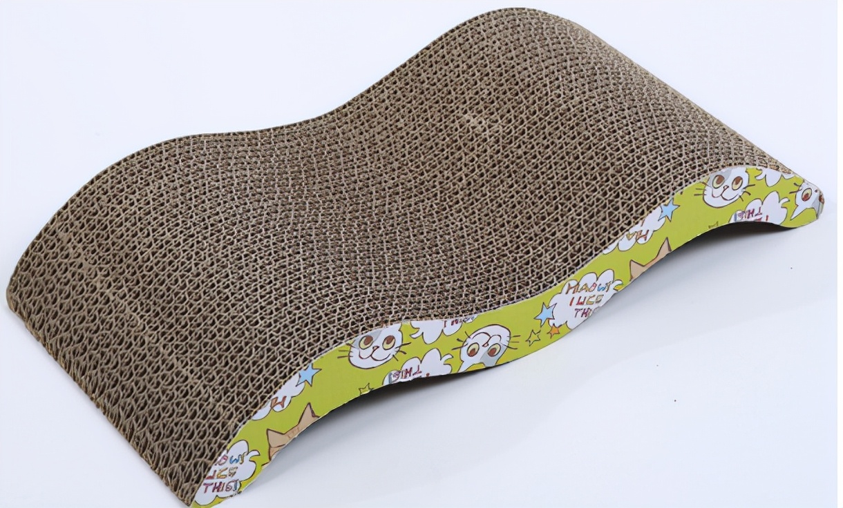 新手养猫注意事项及解决方法,新手养猫注意事项以及幼猫到新家