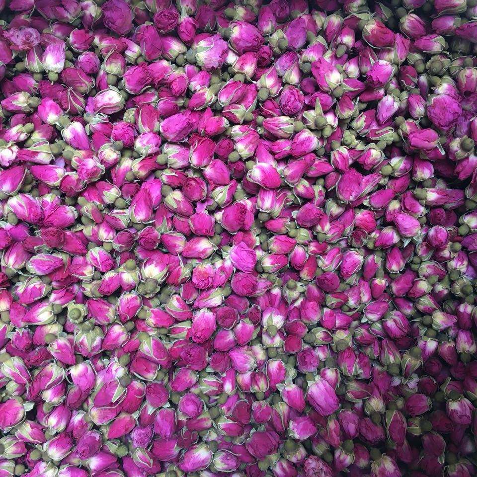 平阴玫瑰甲天下简介,平阴玫瑰和玫瑰花的区别