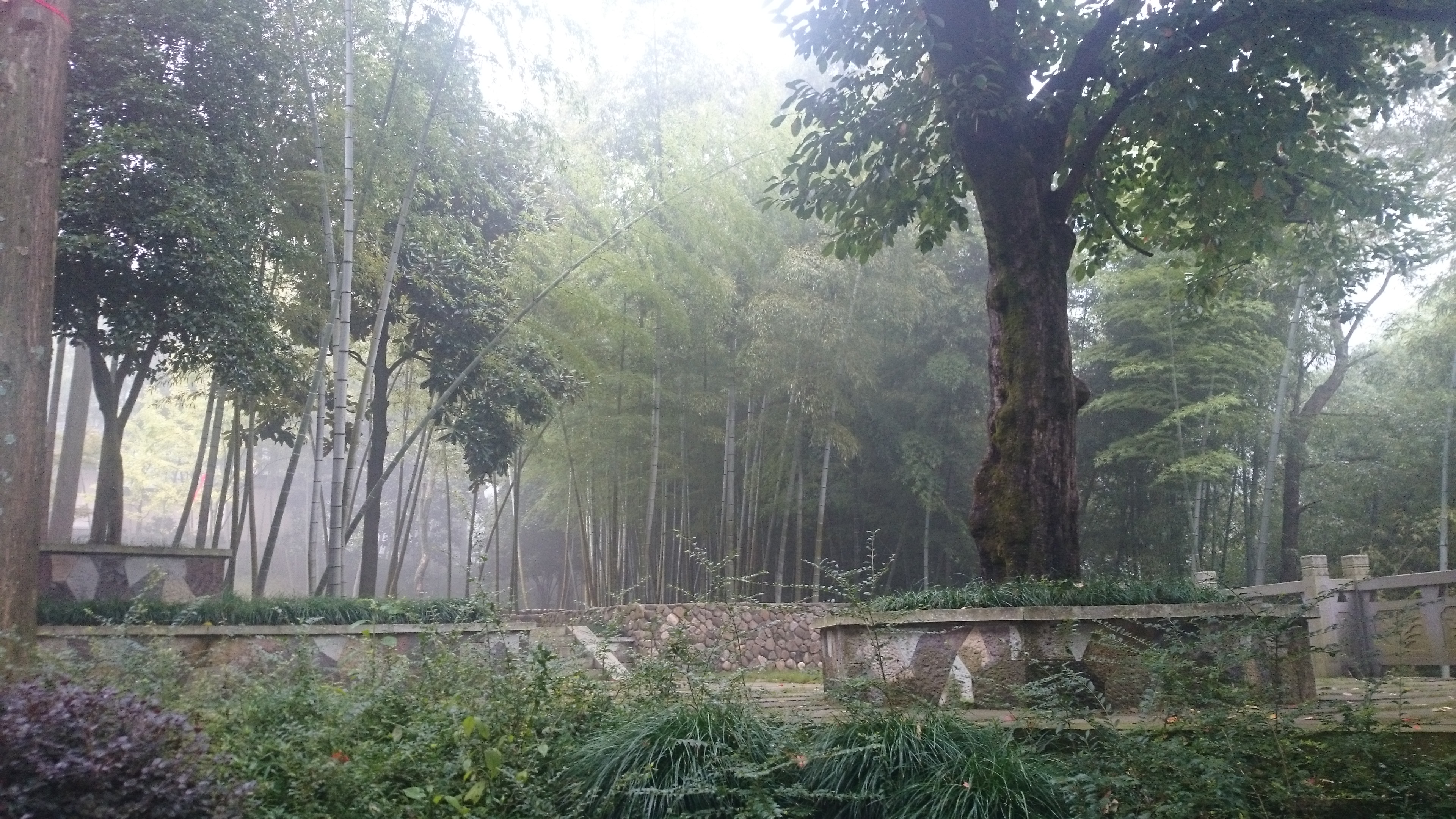 义乌仙华山风景区,仙华山附近有哪些景区