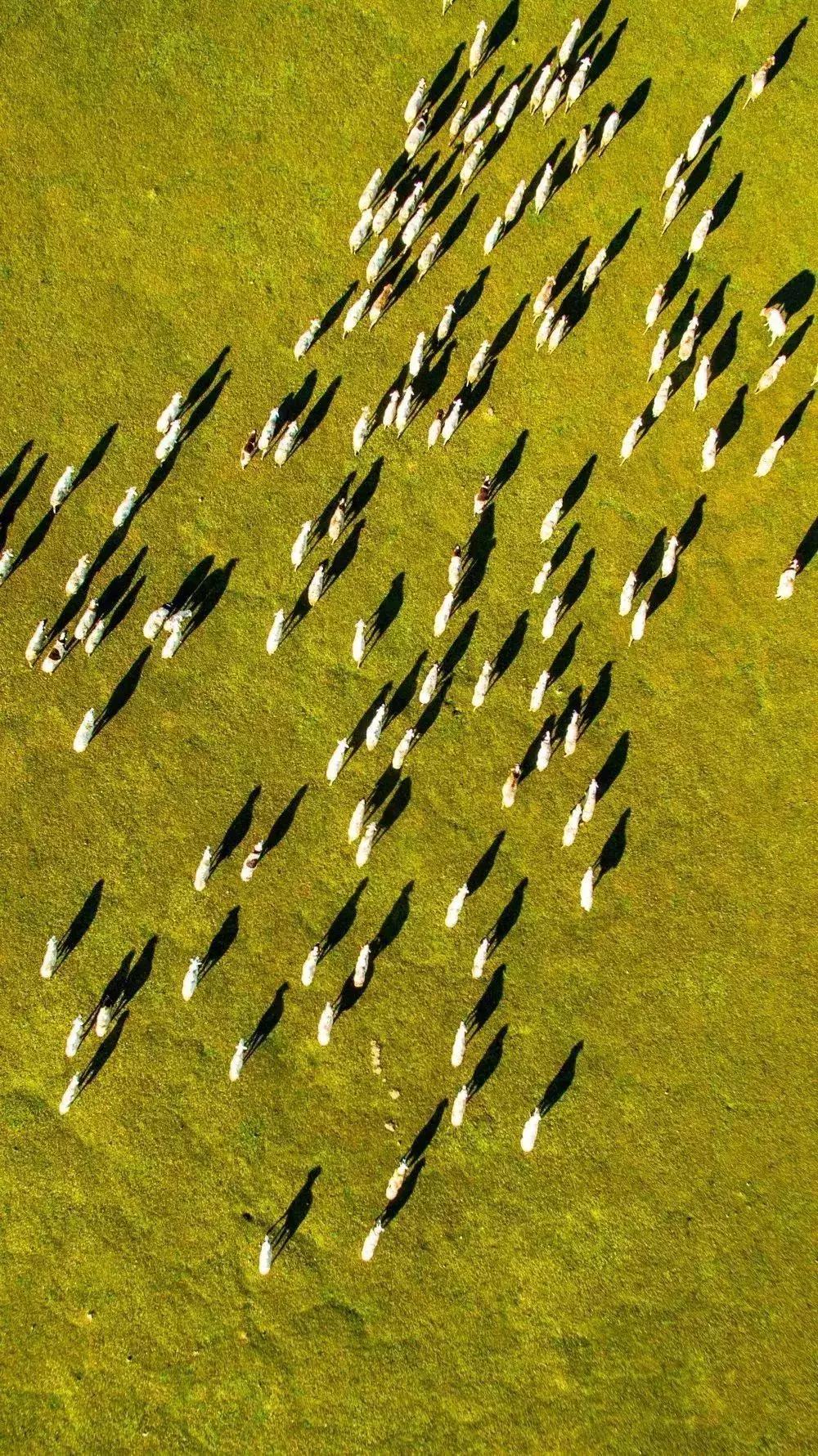 致敬祖国绘画作品高难度,关于祖国的手绘画