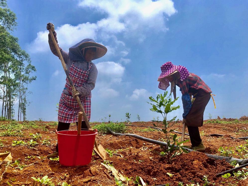 这个村子真美图片,村子里的风景真美