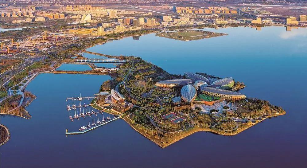 临港新城包括哪些地方,临港新城五个核心区哪个最有价值